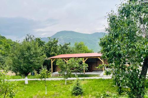 Surrounding environment, Spitak Tun in Ijevan