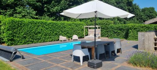View, 8 person apartment with heated swimmingpool Hoek van Winssen in Winssen