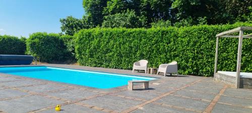 Swimming pool, 8 person apartment with heated swimmingpool Hoek van Winssen in Winssen