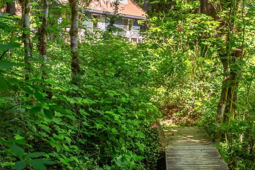 Timber Creek Cabin