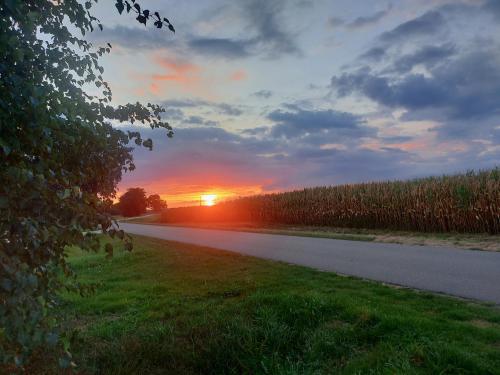 Kert, De Berenshoeve in Weerdinge
