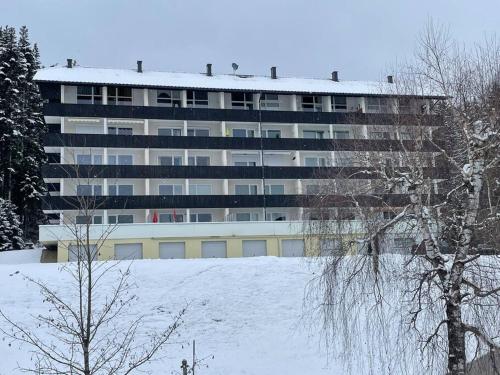  Alpenurlaub II Wohnung mit Traumausblick in Bad Mitterndorf