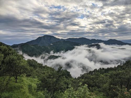 Nearby attraction, NamaStay Himalayas! KANATAL in Kanatal