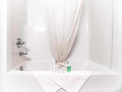 Mountain View Inn Room Type - Queen Studio