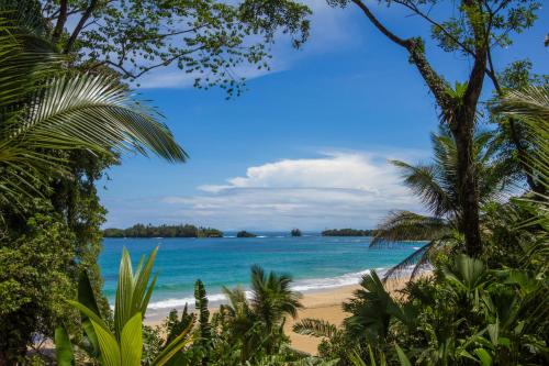Red Frog Beach Island Resort