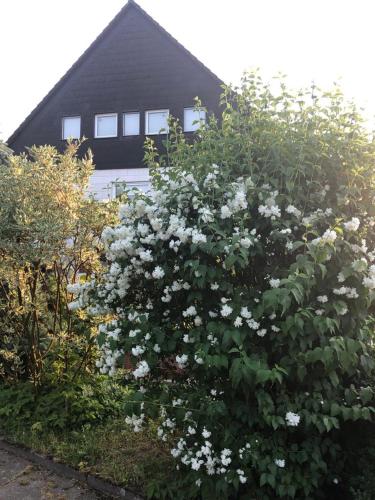 Ferienwohnung Weserberglandblick - image 10