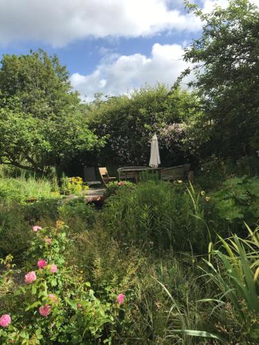 Dārzs, Ynyswen Bed & Breakfast in Llanegwad