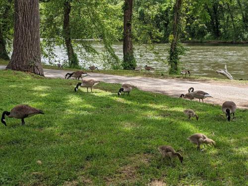 Southern Charm Riverside home Southern Charm Riverside home