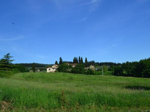 Lovely estate not far from Florence with olives trees