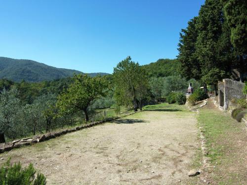 Lovely estate not far from Florence with olives trees