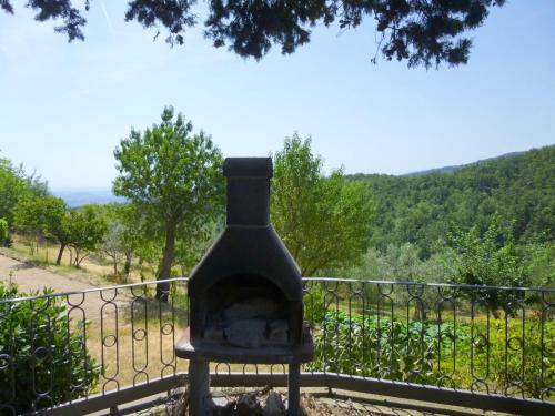 Lovely estate not far from Florence with olives trees