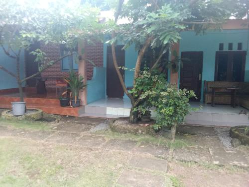 jungle trekking& jungle tour only stay here if you are and you must booking jungle trekking with us  in Bukit Lawang