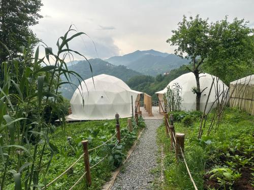 LİMKHONA DOME - CHALET, Çamlıhemşin