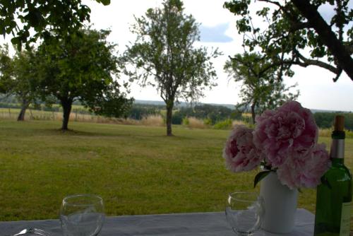 Périgourdine avec spa et vue