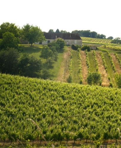 Périgourdine avec spa et vue