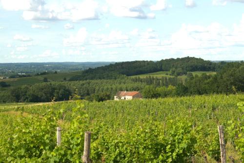 Périgourdine avec spa et vue