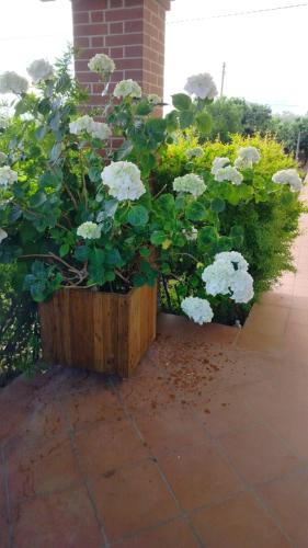  Villetta Giardino degli Ulivi in Ortona