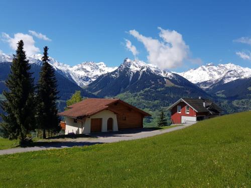 Panorama Chalet Montafon