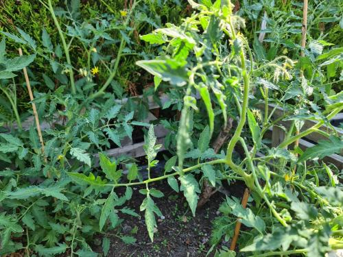 Homely Home in อายเลสบูรี่