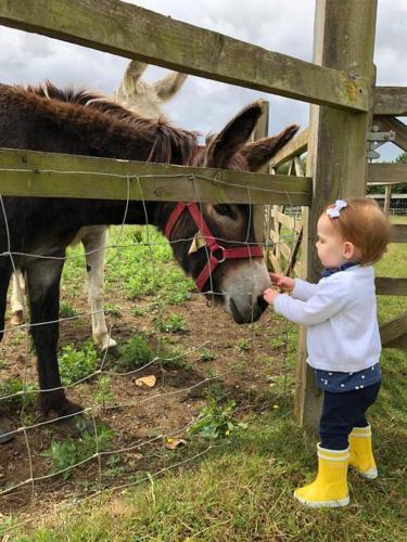 The Dairy-Petting Farm-Indoor Pool-Play Areas-Parkland-Woodland-Lake,Ponds&Stream-min2 night stay