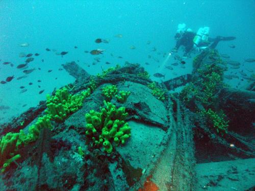 Apartment Zaglav 3 - first sea row Apartment Zaglav 3 - first sea row