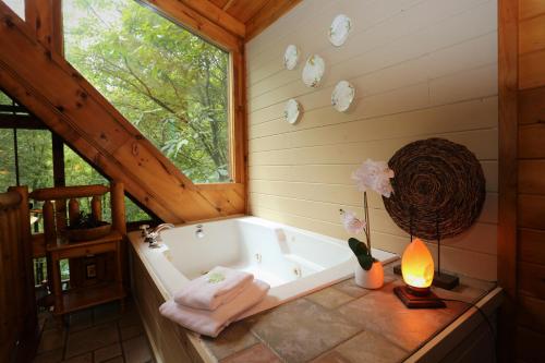 Always & Forever Holiday home in Sevierville, USA