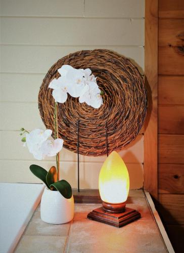 Always & Forever Holiday home in Sevierville, USA