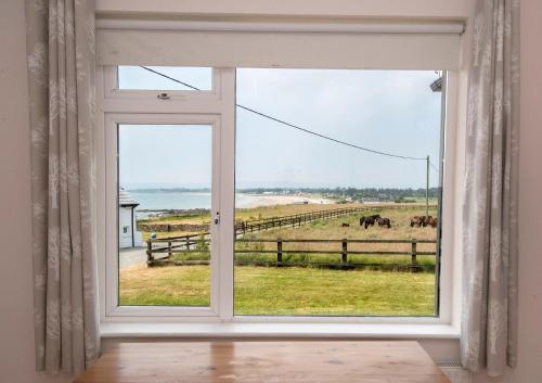 Clonea Beach Houses