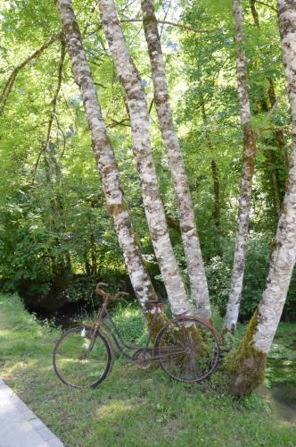 Moulin de la Cuse - Chambre l'Anse