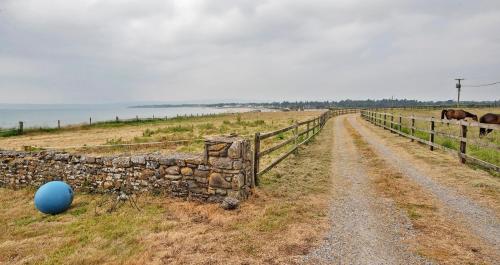 Clonea Beach Houses