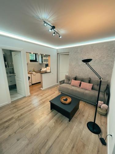 Cozy Glen - Apartment - Târgu-Mureş