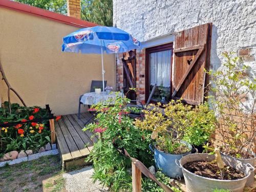 Ferienwohnungen Kleinzerlang SEE 9 - image 7