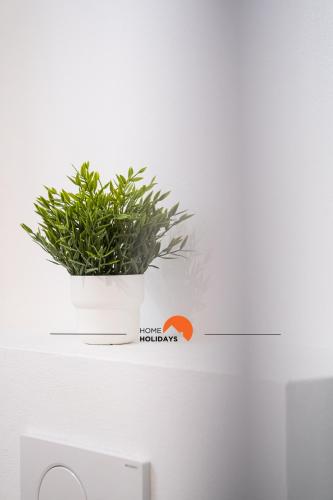 #020 Medronheira Apartment Relax & Comfort - image 3