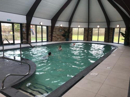 Lodges in Lanivet Cornwall with indoor pool, Bodmin (fotografie 8)