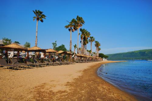 شاطئ, Parmos Otel in إرديك
