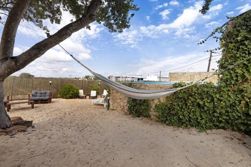 酒店外观, Casa Verdelho in 帕尔迈拉