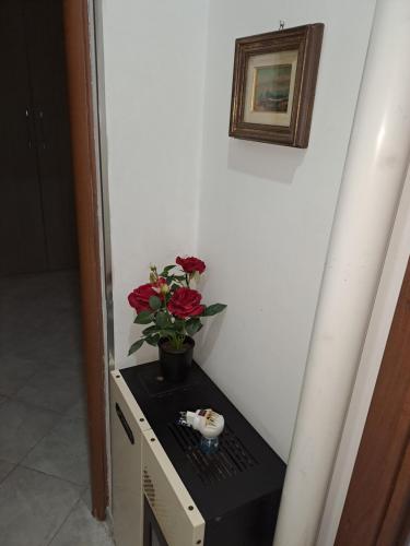 Guest house garden Civitavecchia