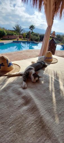 Les Jardins de Taja Les Jardins de Taja