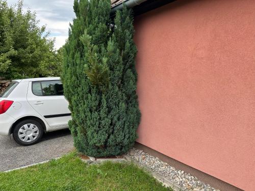 Domeček u Terčina Údolí - image 7