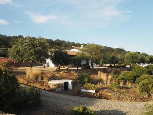 El Cañuelo de Casa Román