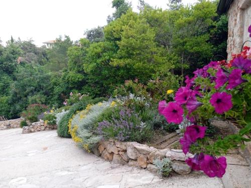 Lavender Hill Hvar Villa - pool, jacuzzi,sauna,BBQ