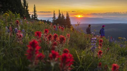 Crystal Forest #63 By Bear Country in Sun Peaks (Brit Kolumbia)