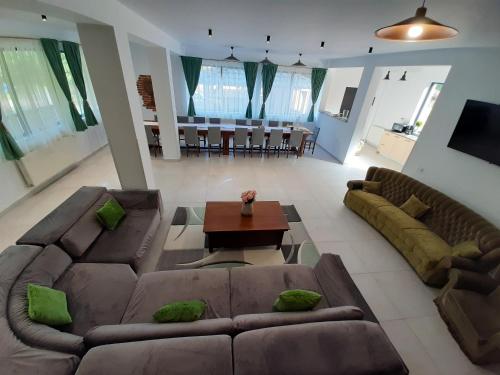 Casa Phoenix in Muntele Băişorii