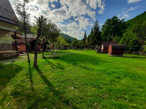 Casa Phoenix - Chalet - Băişoara