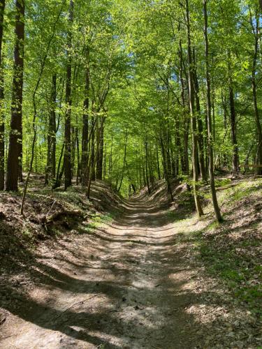 A környék, Sosenkowe Zacisze in Wielki Gleboczek