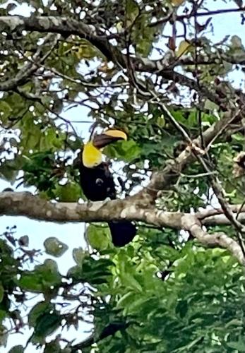 An abundance of wildlife at Jungle Glory Home