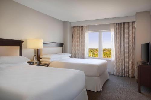 Sheraton Suites Fort Lauderdale Plantation-NEWLY RENOVATED - image 12