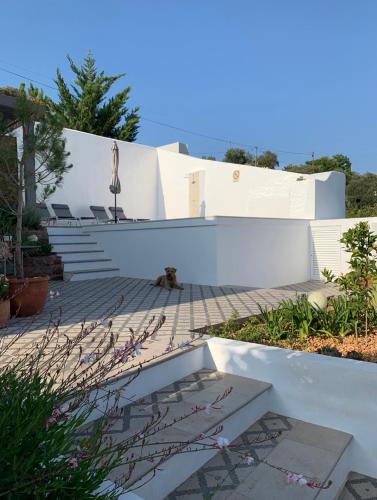 Casa na Colina : The Cottage and The Long House in Campina