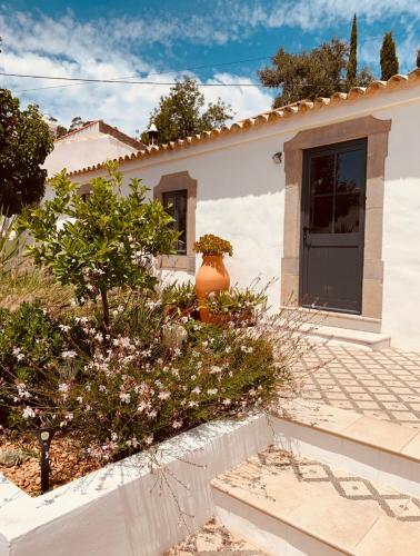 Casa na Colina : The Cottage and The Long House in Campina