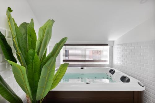 Le Cosy Spa & Office au cœur de Toulouse, Toulouse